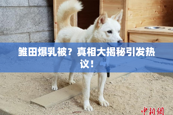 雏田爆乳被？真相大揭秘引发热议！
