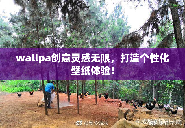 wallpa创意灵感无限，打造个性化壁纸体验！