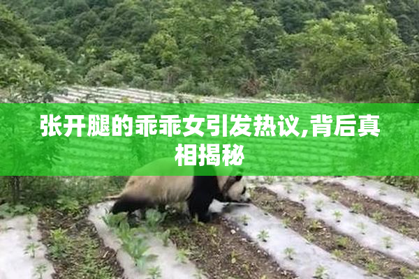 张开腿的乖乖女引发热议,背后真相揭秘