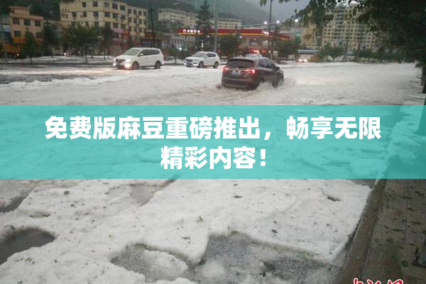 免费版麻豆重磅推出，畅享无限精彩内容！