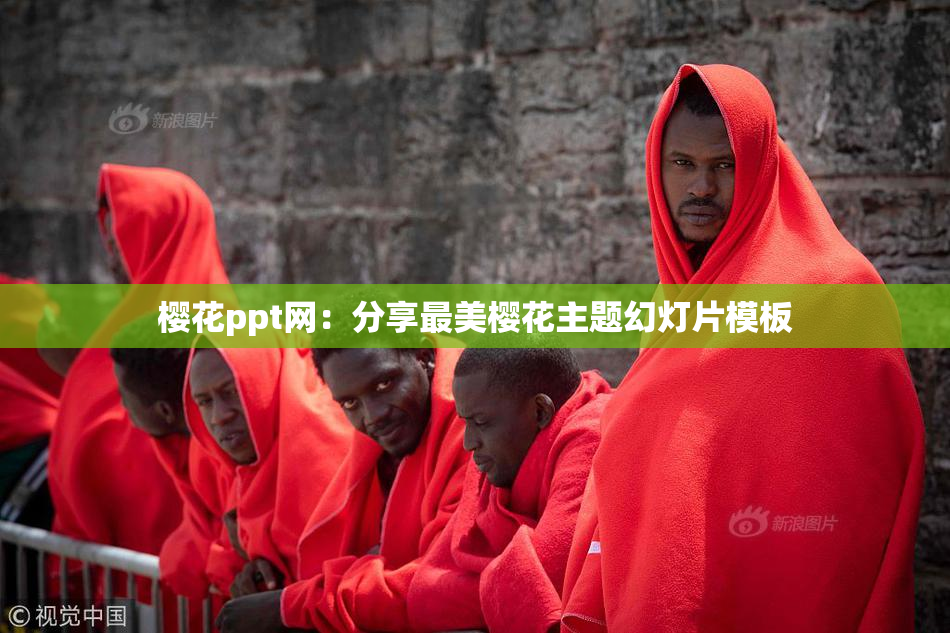 樱花ppt网：分享最美樱花主题幻灯片模板