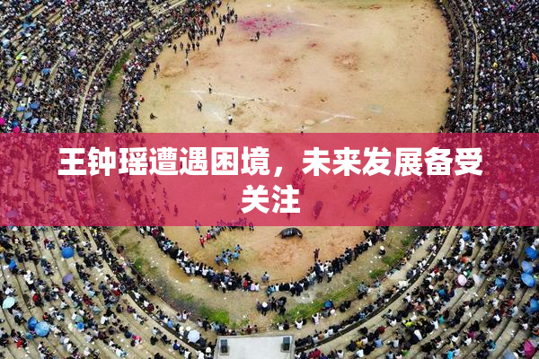 王钟瑶遭遇困境，未来发展备受关注