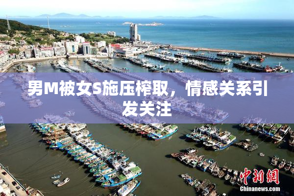 男M被女S施压榨取，情感关系引发关注