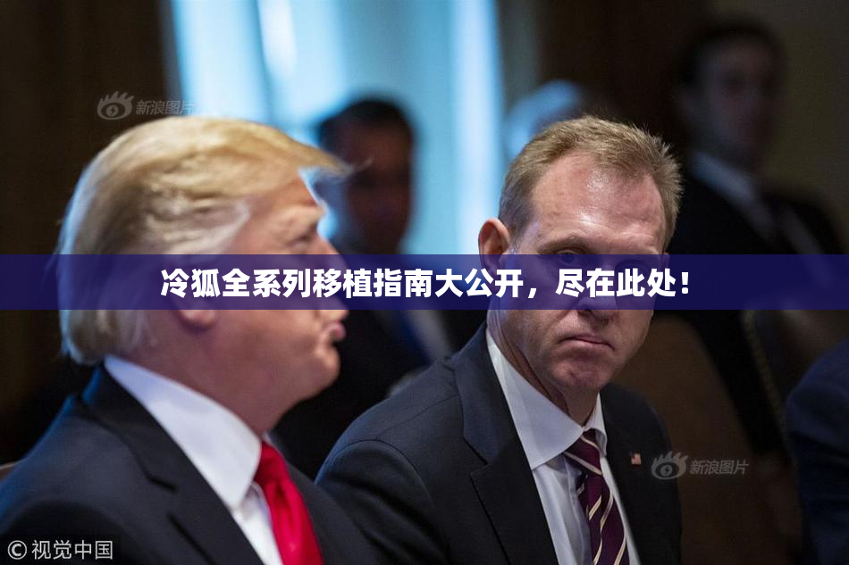 冷狐全系列移植指南大公开，尽在此处！