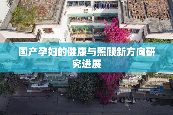 国产孕妇的健康与照顾新方向研究进展