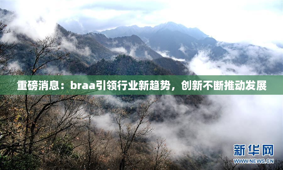 重磅消息：braa引领行业新趋势，创新不断推动发展