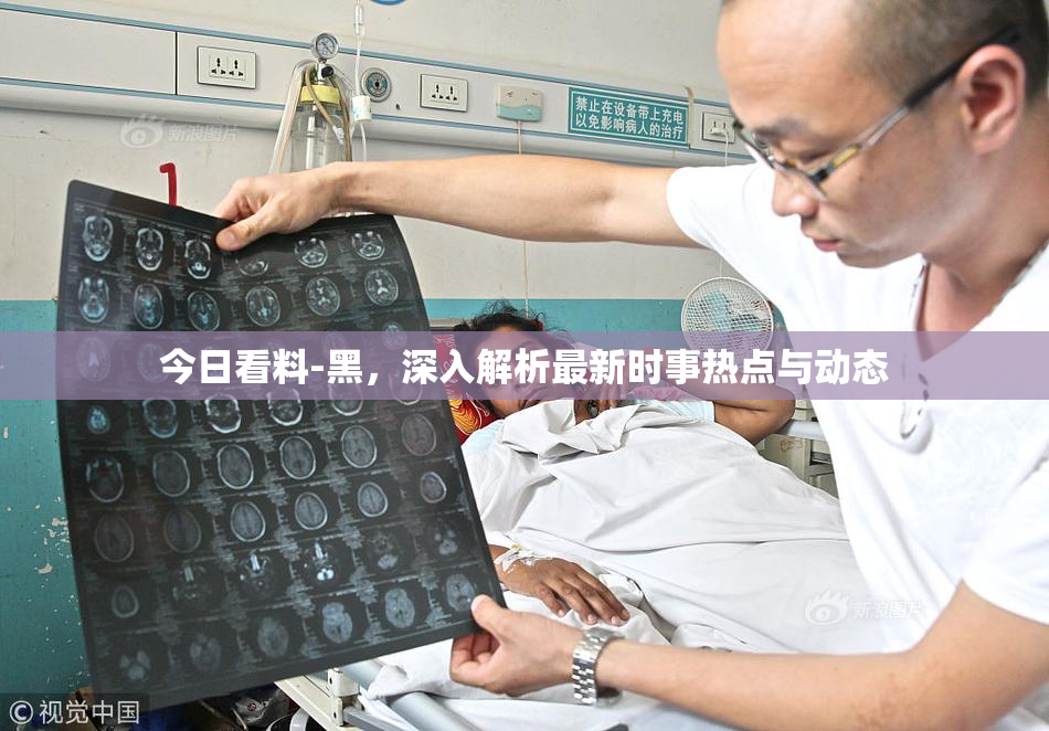 今日看料-黑，深入解析最新时事热点与动态