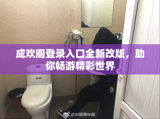 成欢阁登录入口全新改版，助你畅游精彩世界