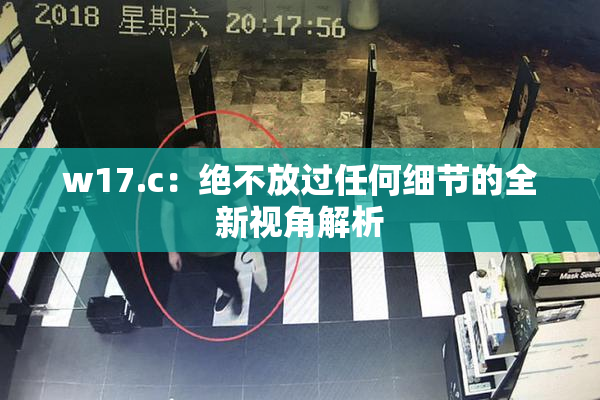 w17.c：绝不放过任何细节的全新视角解析