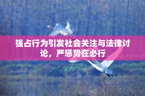 强占行为引发社会关注与法律讨论，严惩势在必行