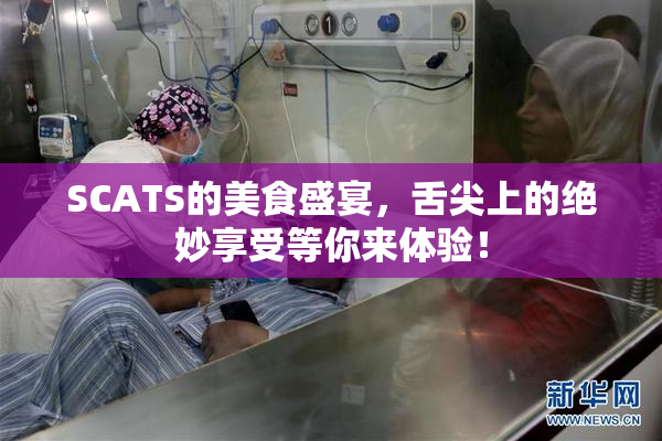 SCATS的美食盛宴，舌尖上的绝妙享受等你来体验！