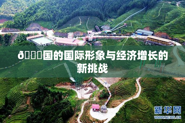 🔞国的国际形象与经济增长的新挑战