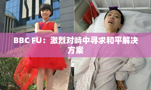 BBC FU：激烈对峙中寻求和平解决方案