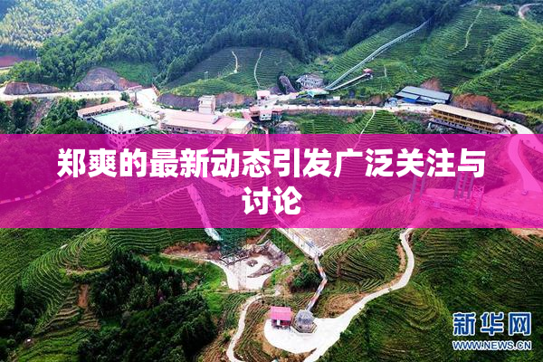 郑爽的最新动态引发广泛关注与讨论