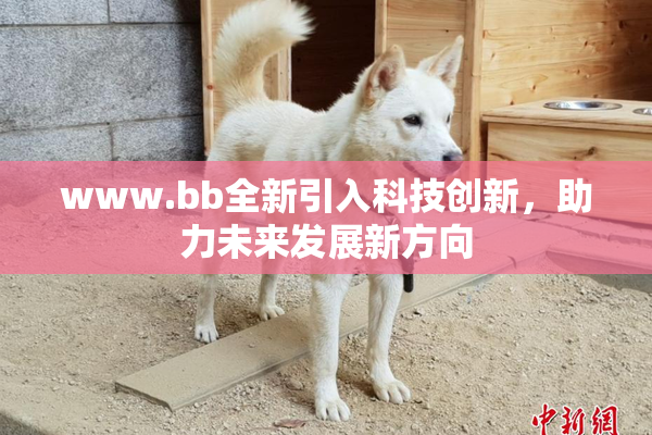 www.bb全新引入科技创新，助力未来发展新方向