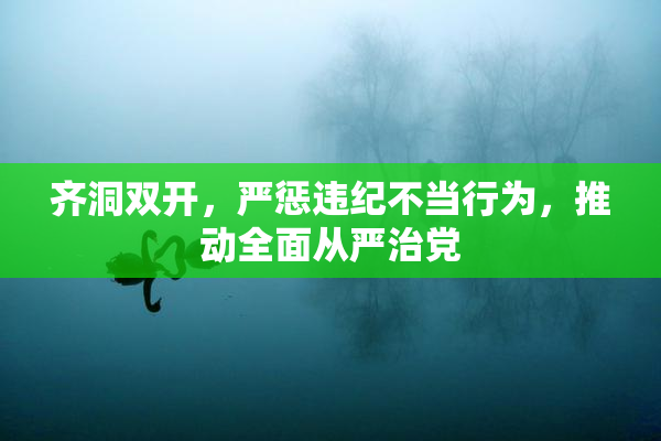 齐洞双开，严惩违纪不当行为，推动全面从严治党