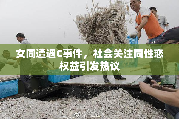 女同遭遇C事件，社会关注同性恋权益引发热议