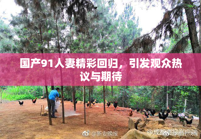 国产91人妻精彩回归，引发观众热议与期待