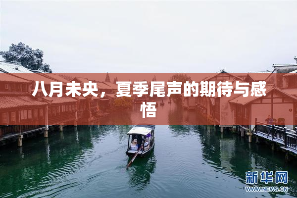 八月未央，夏季尾声的期待与感悟