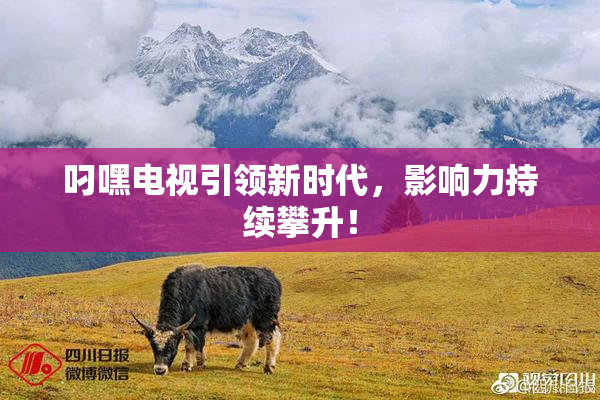 叼嘿电视引领新时代，影响力持续攀升！