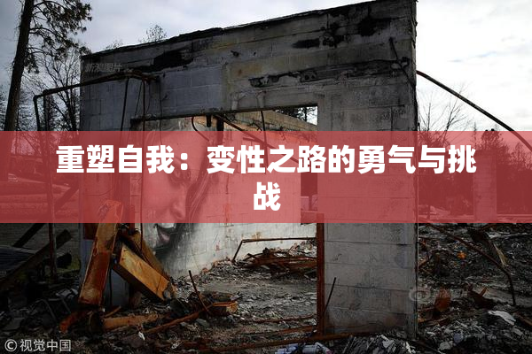 重塑自我：变性之路的勇气与挑战