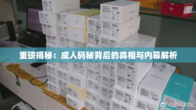 重磅揭秘：成人码秘背后的真相与内幕解析