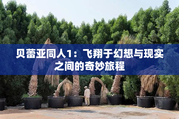 贝蕾亚同人1：飞翔于幻想与现实之间的奇妙旅程