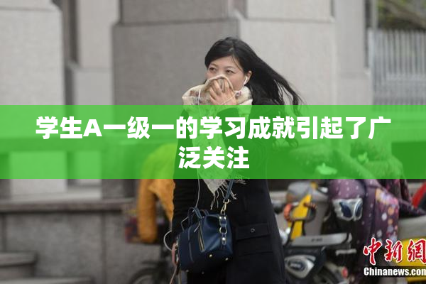 学生A一级一的学习成就引起了广泛关注
