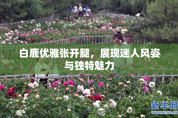 白鹿优雅张开腿，展现迷人风姿与独特魅力