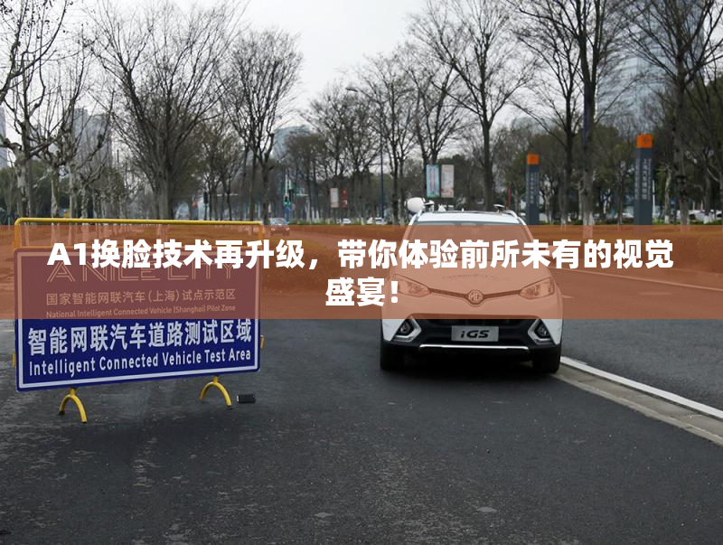 A1换脸技术再升级，带你体验前所未有的视觉盛宴！