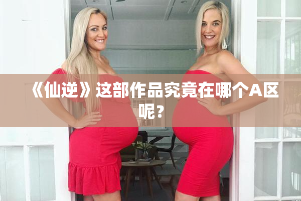 《仙逆》这部作品究竟在哪个A区呢？