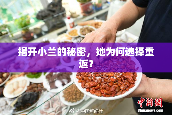 揭开小兰的秘密，她为何选择重返？