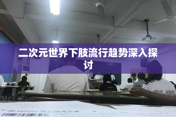 二次元世界下肢流行趋势深入探讨
