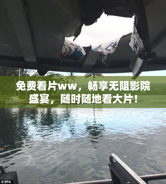 免费看片ww，畅享无阻影院盛宴，随时随地看大片！