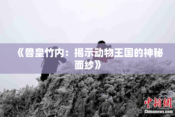 《兽皇竹内：揭示动物王国的神秘面纱》