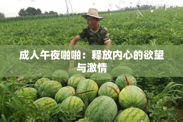 成人午夜啪啪：释放内心的欲望与激情