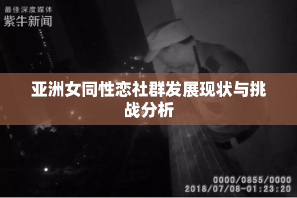 亚洲女同性恋社群发展现状与挑战分析