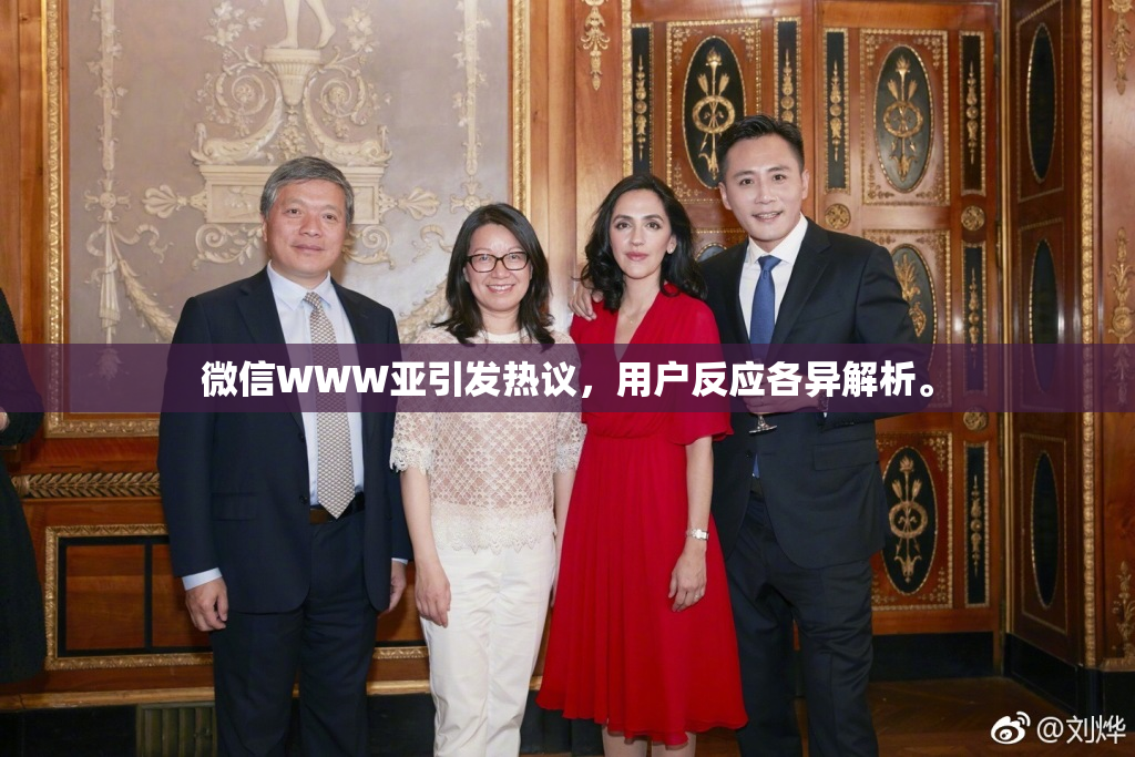微信WWW亚引发热议，用户反应各异解析。