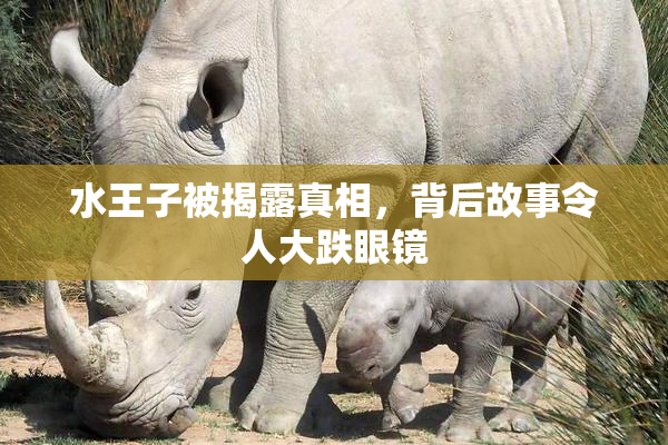 水王子被揭露真相，背后故事令人大跌眼镜