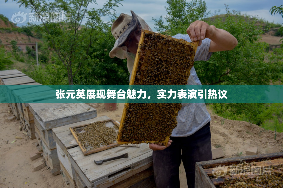 张元英展现舞台魅力，实力表演引热议