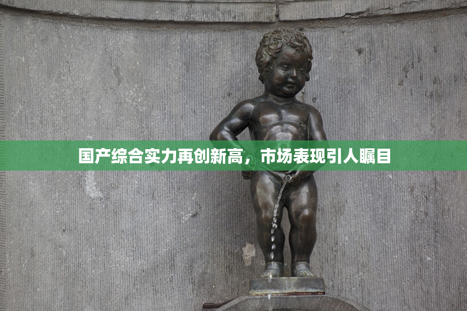 国产综合实力再创新高，市场表现引人瞩目