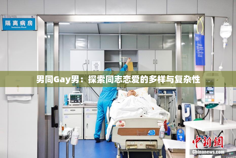 男同Gay男：探索同志恋爱的多样与复杂性