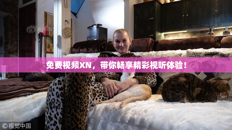 免费视频XN，带你畅享精彩视听体验！