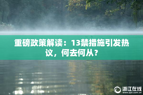 重磅政策解读：13禁措施引发热议，何去何从？