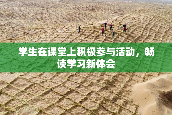 学生在课堂上积极参与活动，畅谈学习新体会