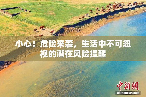 小心！危险来袭，生活中不可忽视的潜在风险提醒