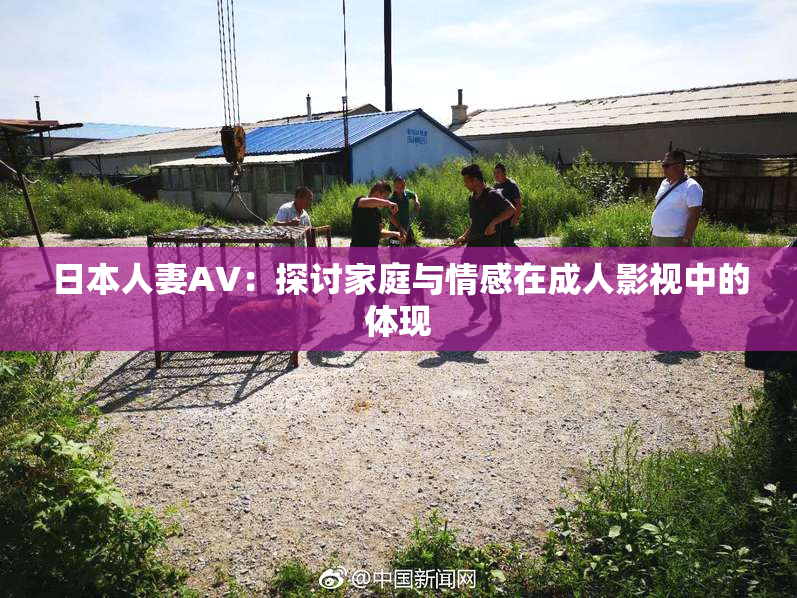 日本人妻AV：探讨家庭与情感在成人影视中的体现