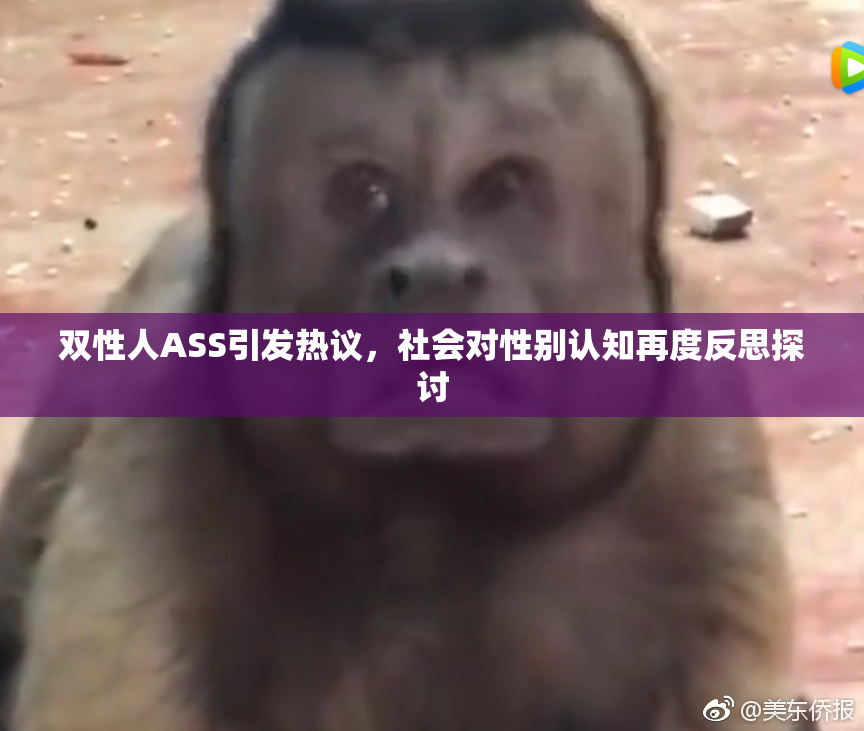双性人ASS引发热议，社会对性别认知再度反思探讨