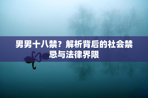 男男十八禁？解析背后的社会禁忌与法律界限