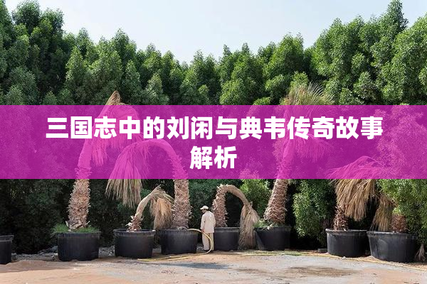 三国志中的刘闲与典韦传奇故事解析